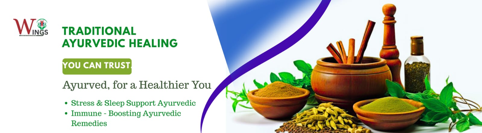 Wings India Banner